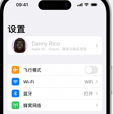 浑南appleID维修服务iPhone设置中Apple ID显示为灰色无法使用 