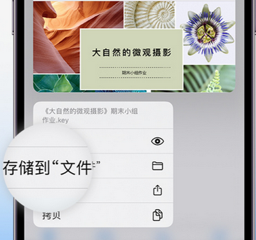 浑南apple维修中心分享iPhone文件应用中存储和找到下载文件