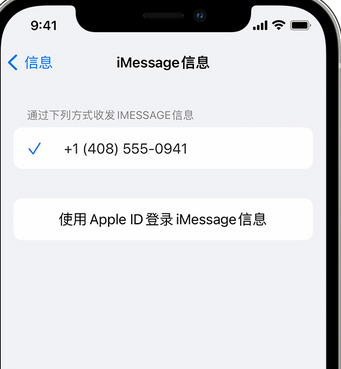 浑南apple维修iPhone上无法正常发送iMessage信息 