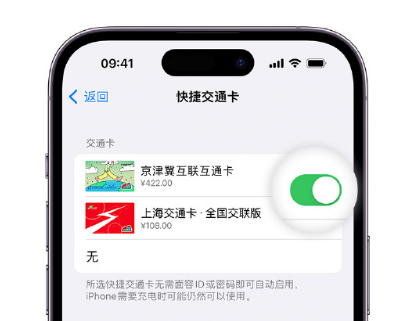 浑南apple维修点分享iPhone上更换Apple Pay快捷交通卡手绘卡面 