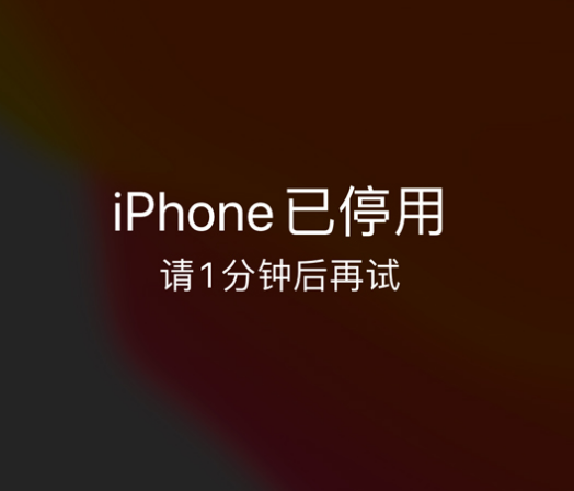 浑南苹果手机维修分享:iPhone 显示“不可用”或“已停用”怎么办？还能保留数据吗？ 