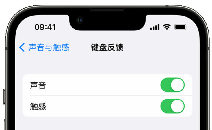 浑南苹果手机维修分享iPhone 14触感键盘使用方法 