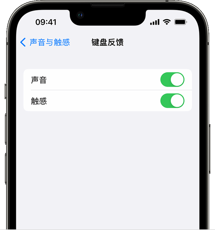 浑南苹果14维修店分享如何在 iPhone 14 机型中使用触感键盘 