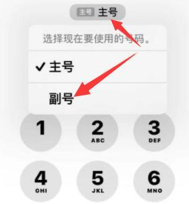 浑南苹果14维修店分享iPhone 14 Pro Max使用副卡打电话的方法 