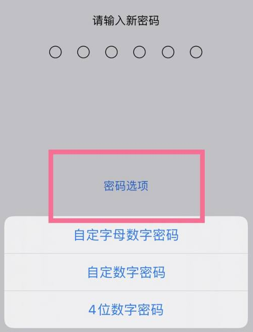 浑南苹果14维修分享iPhone 14plus设置密码的方法 