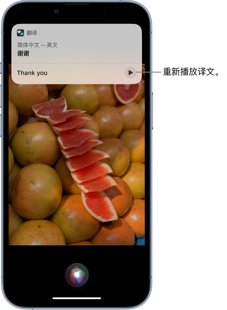 浑南苹果14维修分享 iPhone 14 机型中使用 Siri：了解 Siri 能帮你做什么 