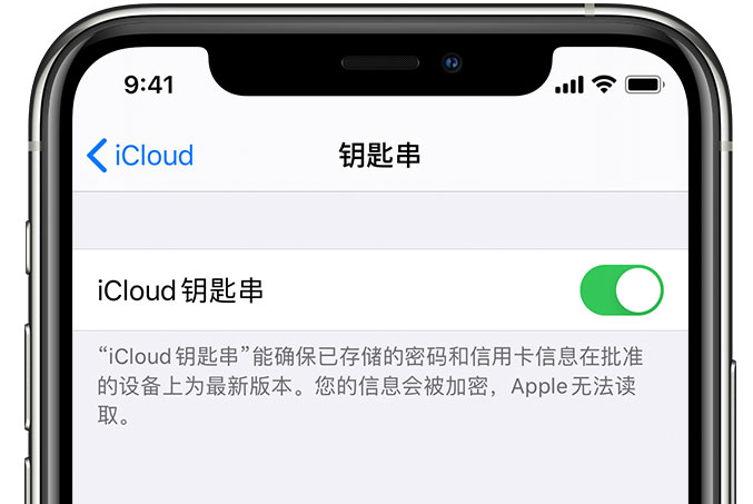 浑南苹果手机维修分享在 iPhone 上开启 iCloud 钥匙串之后会储存哪些信息 