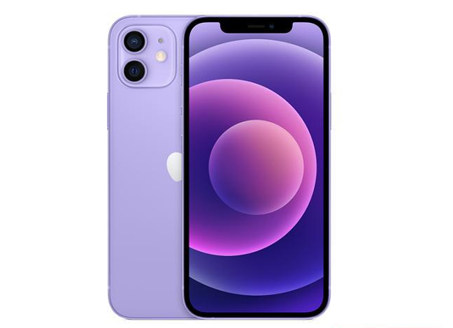浑南苹果手机维修分享现阶段要不要入手紫色版iPhone12 