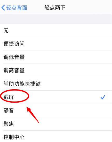 浑南苹果手机维修分享iPhone12如何启用双击截屏 